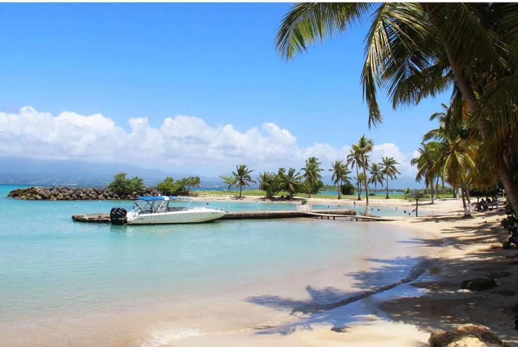 Studio Confort Pres Des Plages 哥西尔 外观 照片